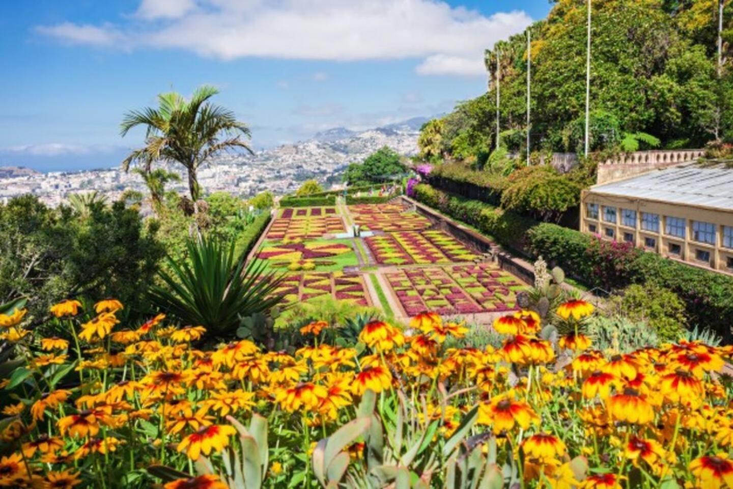 Comfortable 2-Bedroom Apartment For Relaxing Stays Funchal  Zewnętrze zdjęcie